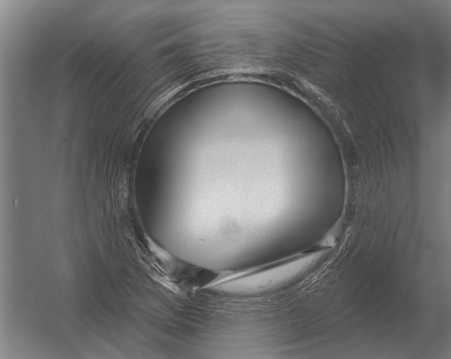 X0000052931169200507292344