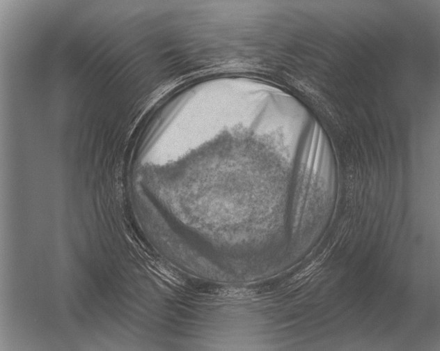 X0000052931170200507292344