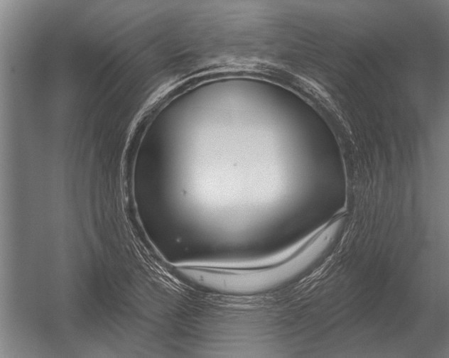 X0000052931172200507292344