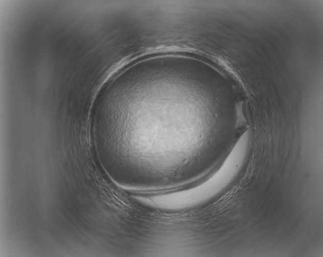 X0000052931173200507292344