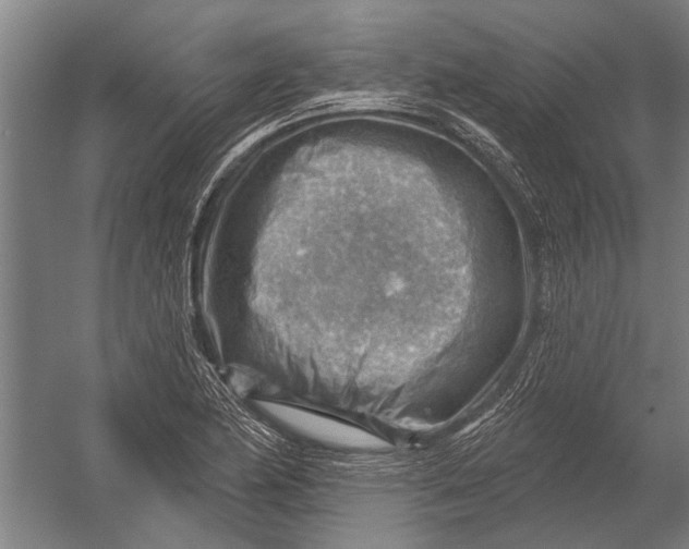 X0000052931174200507292344