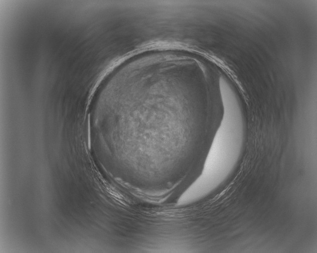 X0000052931175200507292344