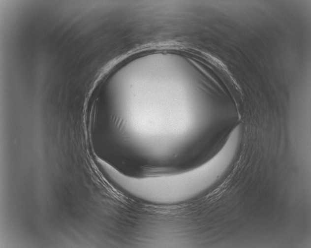 X0000052931176200507292344