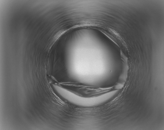 X0000052931177200507292344