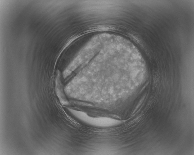 X0000052931178200507292344