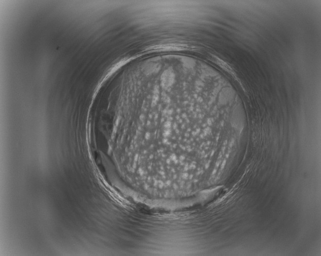 X0000052931179200507292344