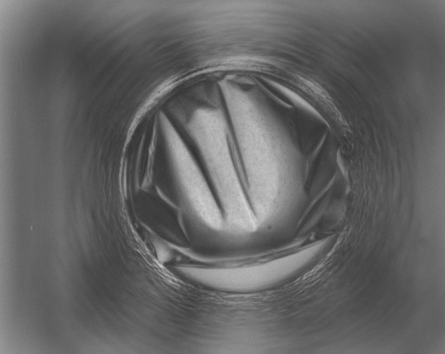 X0000052931180200507292344