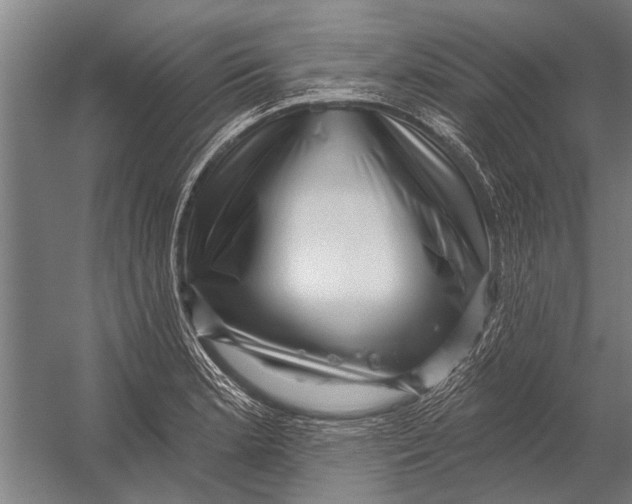 X0000052931181200507292344