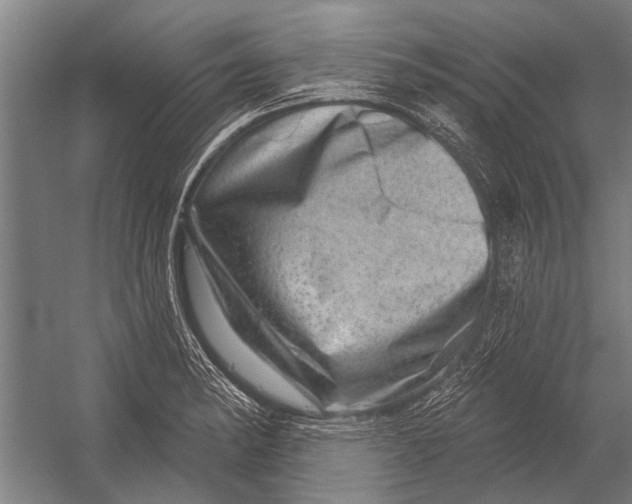 X0000052931182200507292344