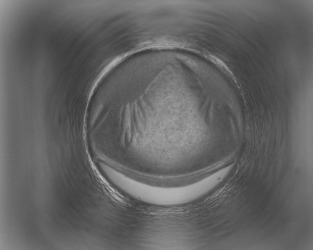 X0000052931183200507292344