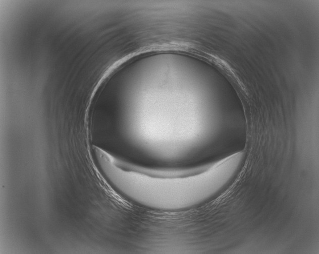 X0000052931184200507292344