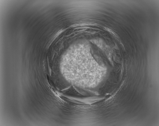 X0000052931185200507292344