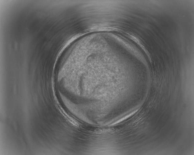 X0000052931187200507292344