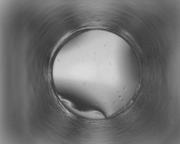 X0000052931188200507292344