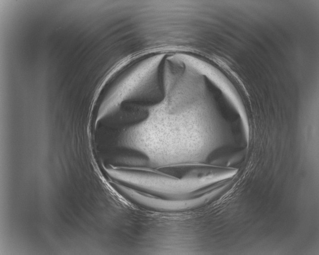 X0000052931189200507292344