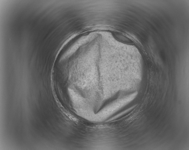 X0000052931190200507292344