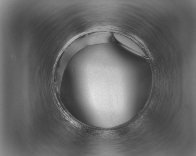 X0000052931192200507292344