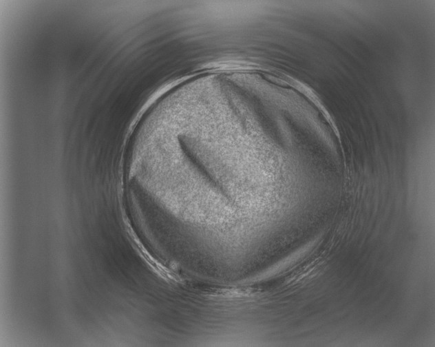 X0000052931195200507292344