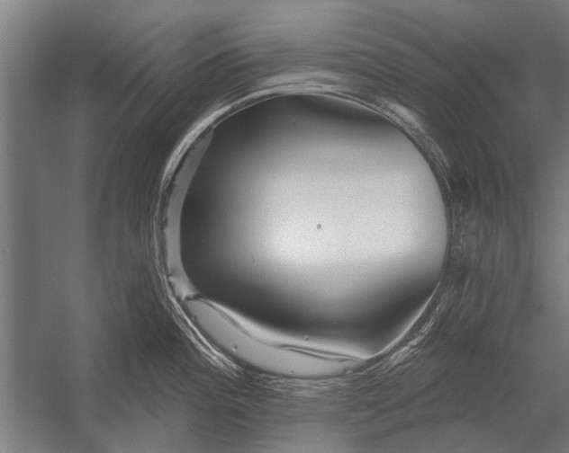 X0000052931196200507292344