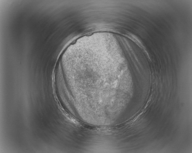 X0000052931198200507292344