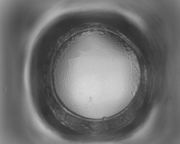 X0000052931199200507292344