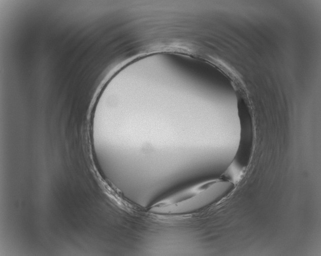 X0000052931200200507292344