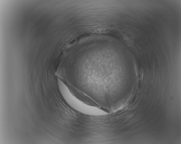 X0000052931202200507292343