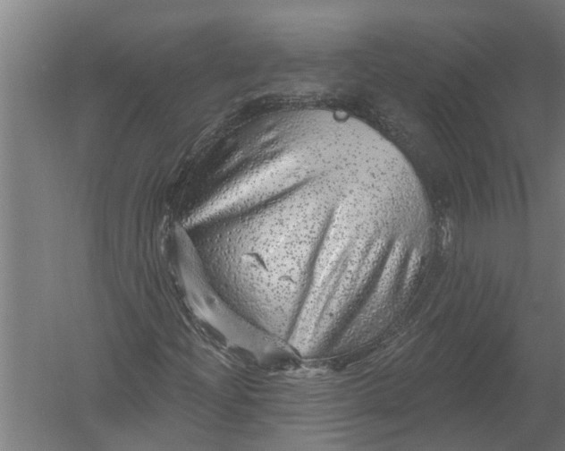 X0000052931204200507292343