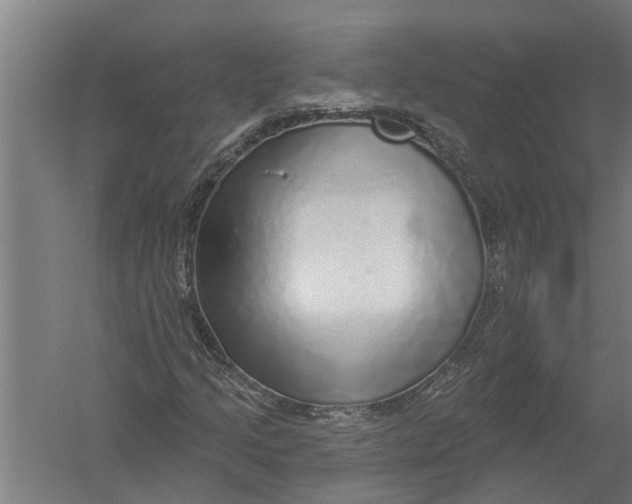 X0000052931205200507292343