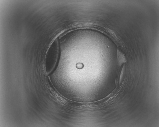 X0000052931212200507292343