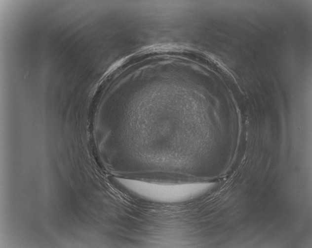 X0000052931213200507292343