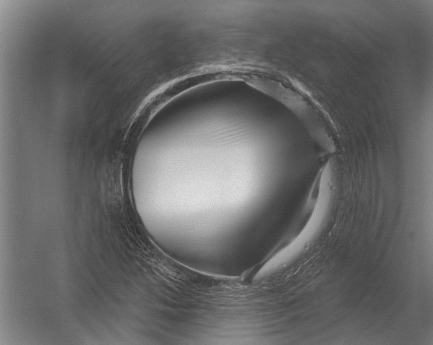 X0000052931214200507292343