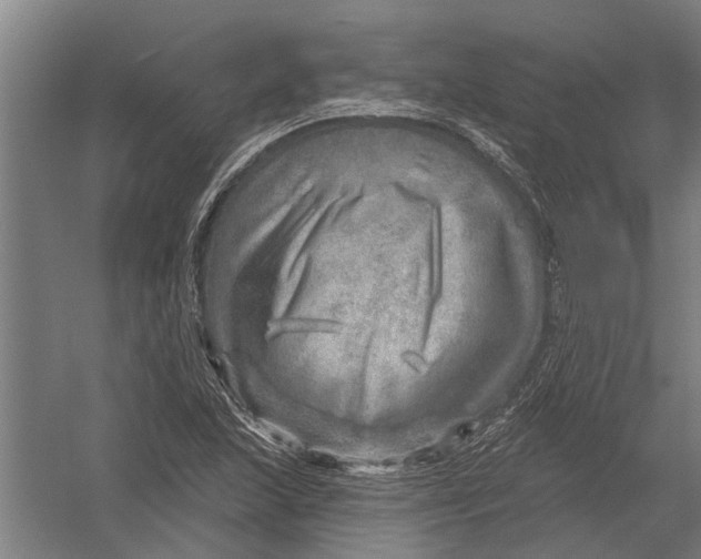 X0000052931215200507292343