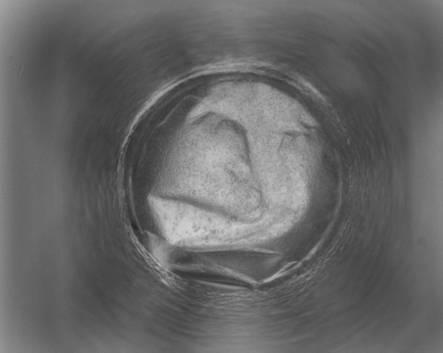 X0000052931216200507292343