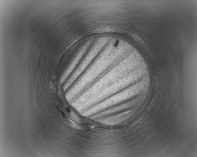 X0000052931217200507292343