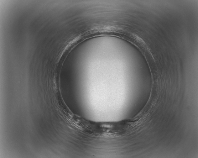 X0000052931218200507292343