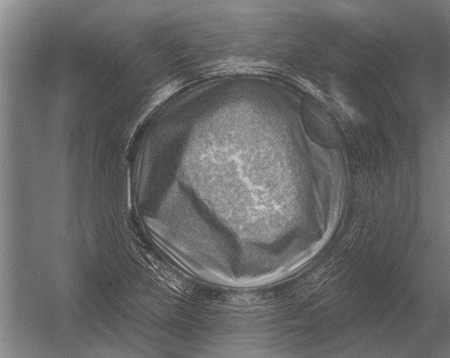 X0000052931219200507292343