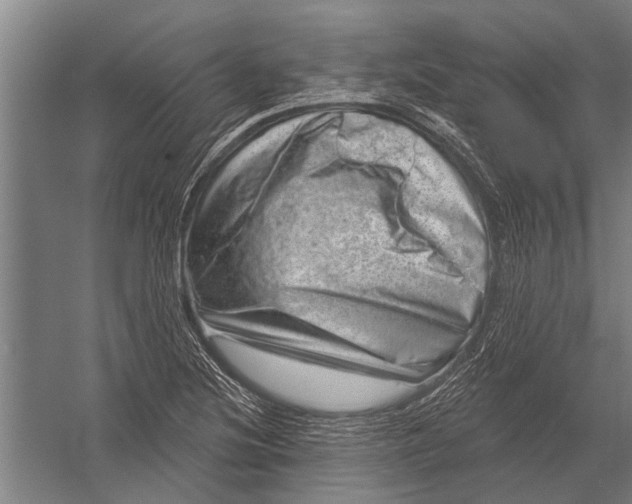 X0000052931220200507292343