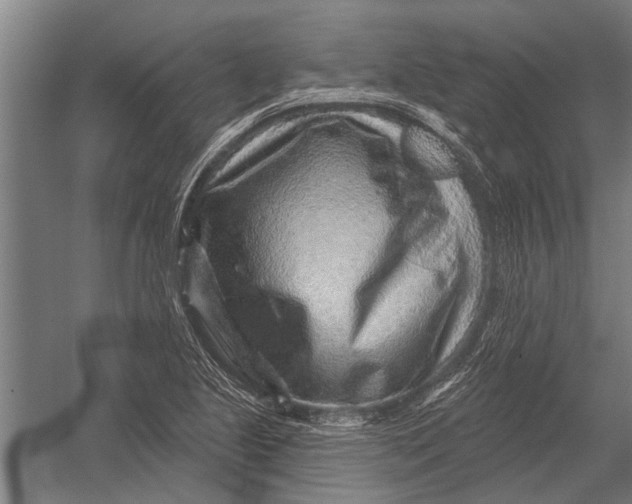 X0000052931221200507292343