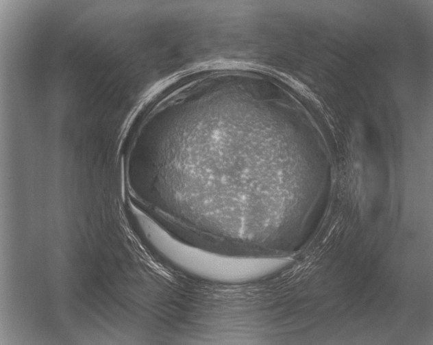 X0000052931223200507292343