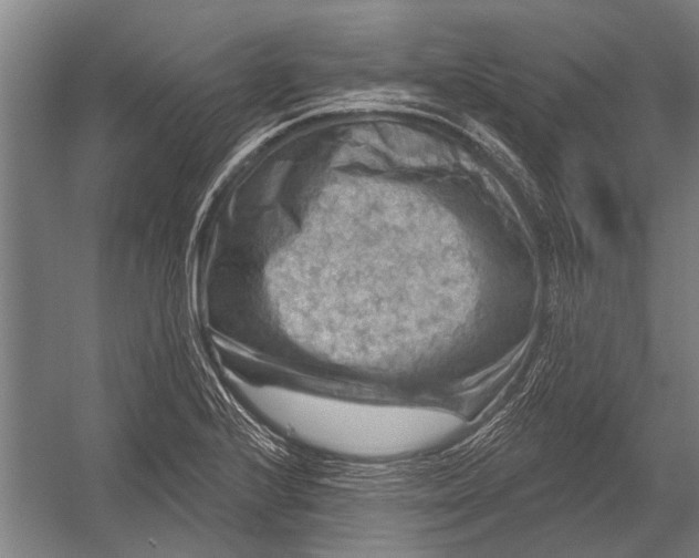 X0000052931224200507292343