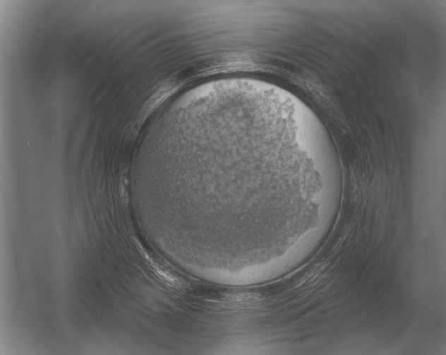 X0000052931225200507292343