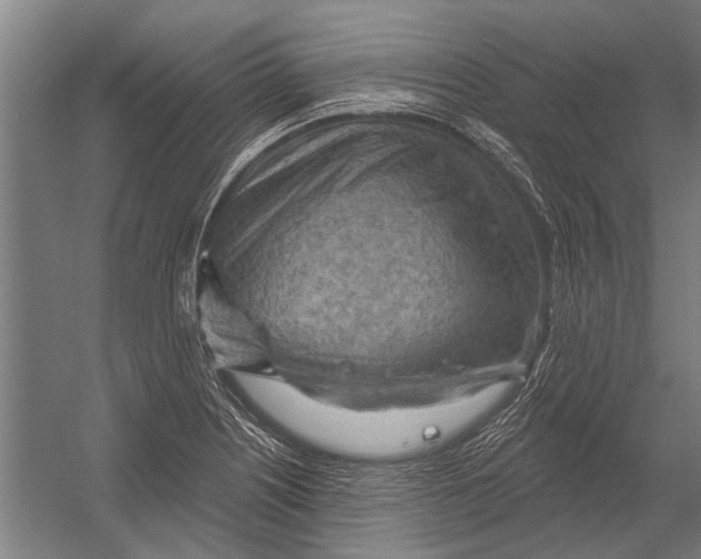 X0000052931226200507292343