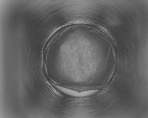 X0000052931228200507292343