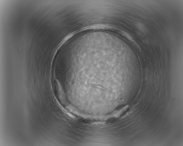 X0000052931229200507292343