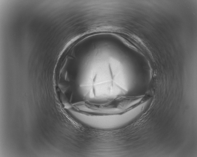 X0000052931230200507292343