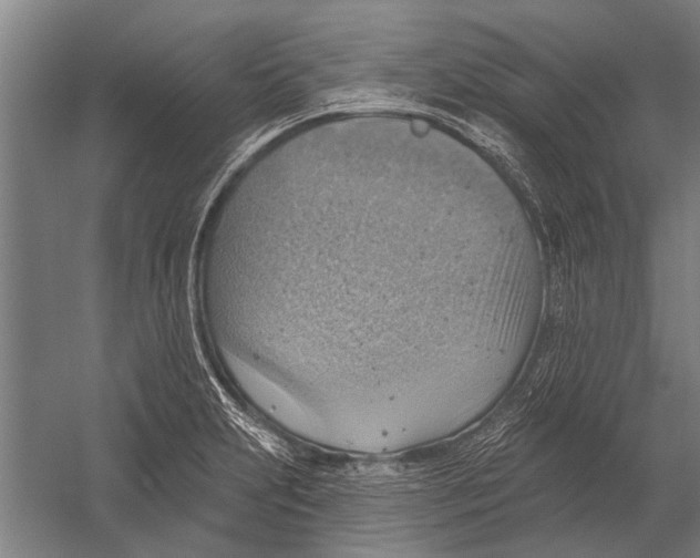 X0000052931231200507292343