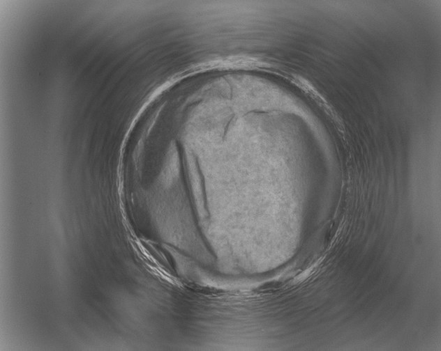 X0000052931232200507292344