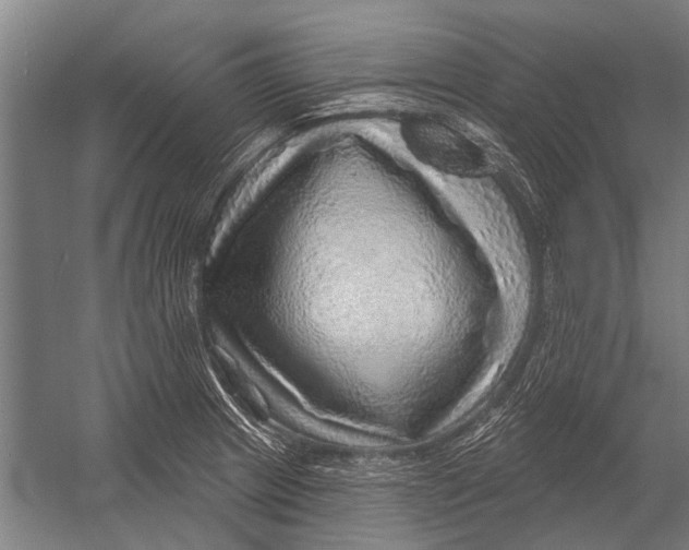 X0000052931233200507292344