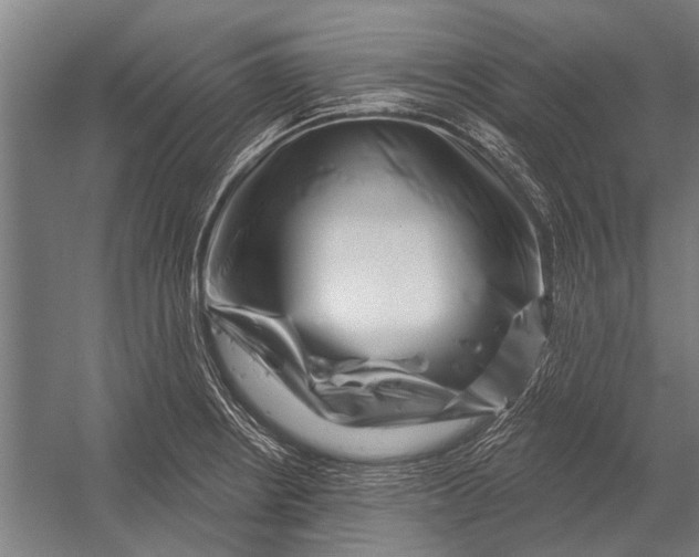 X0000052931234200507292344